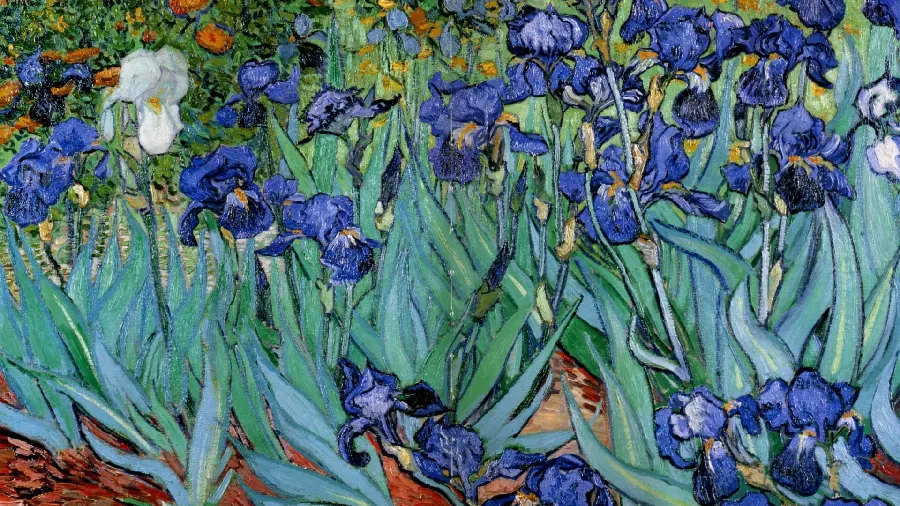 دانلود رایگان و با کیفیت نقاشی ونسان ون گوگ به نام گل های زنبق 