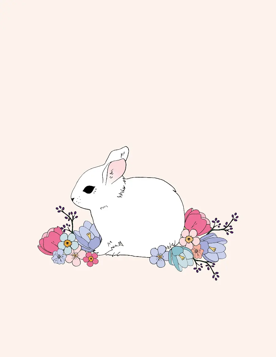 عکس جدید خرگوش کارتونی خوشگل NEW Cute And Beautiful Rabbit 