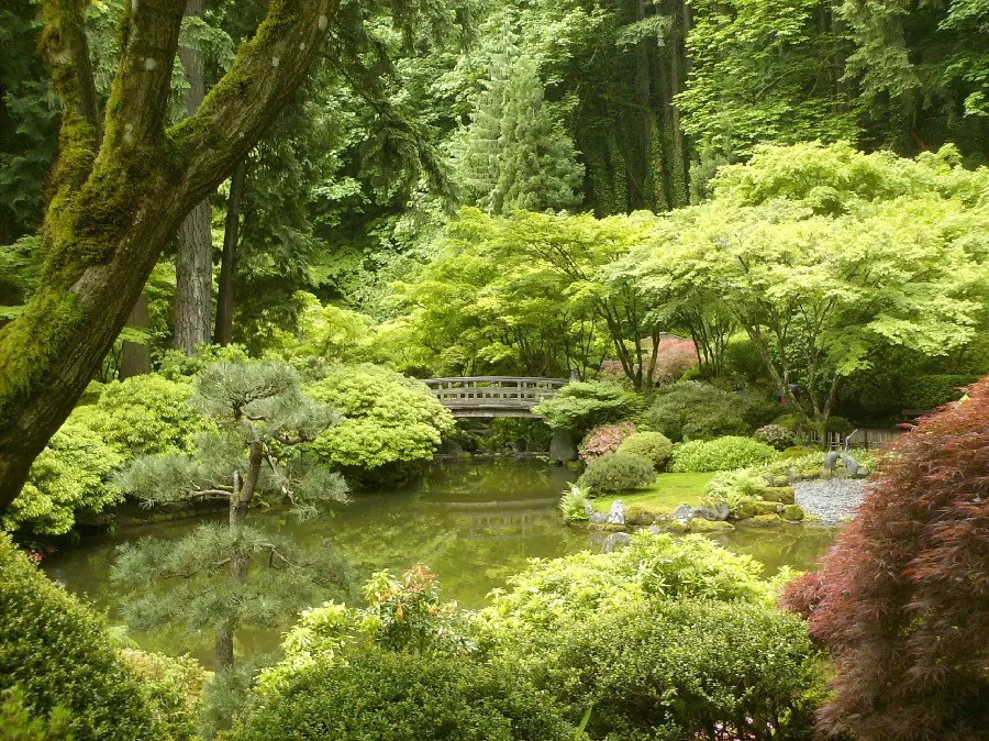 عکس از زیبایی های طبیعت در باغ ذن ژاپن مناسب صفحه دسکتاپ 