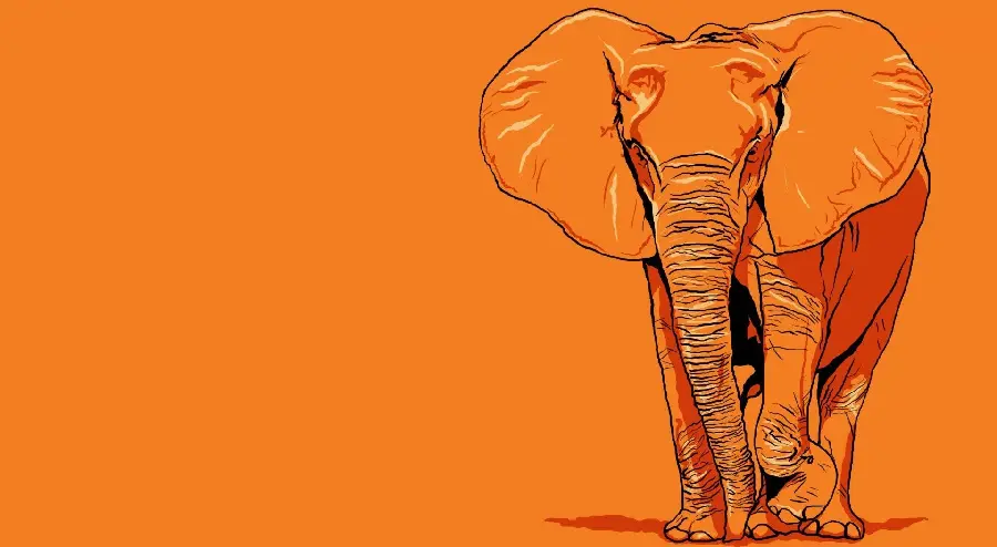 عکس وکتور فیل غول پیکر نارنجی پرتقالی مینیمالیستی پاپ آرت آفریقا