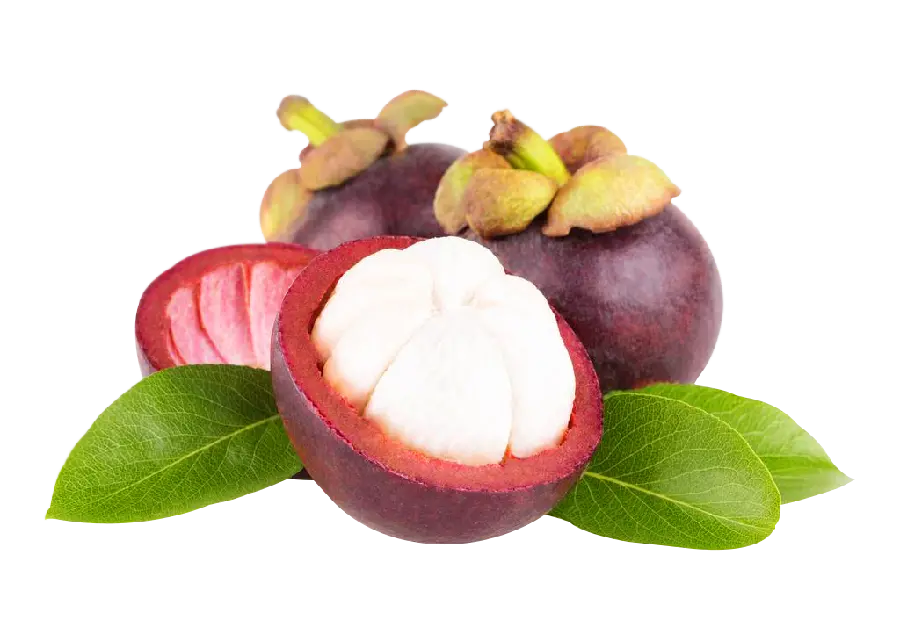 فایل PNG پی ان جی میوه ترگیل نصف شده رایگان و اچ دی 