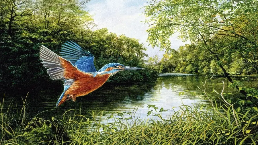 نقاشی زیباترین پرنده وحشی در طبیعت برای چاپ تابلو باکیفیت