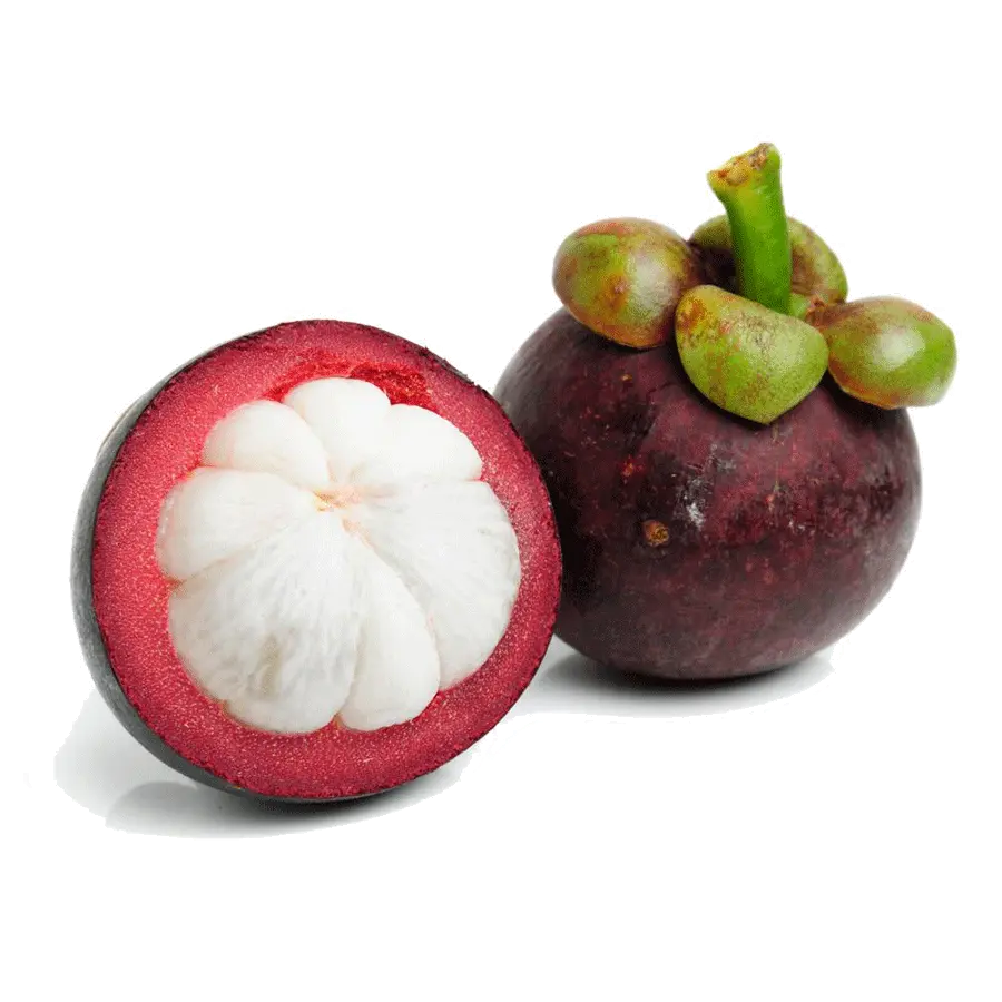 عکس استوک HD میوه ترگیل واقعی رنگ بادمجونی با کیفیت عالی 