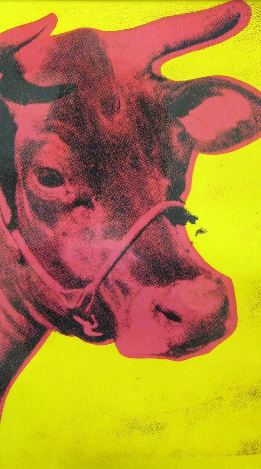 پس زمینه cow 1966 چاپ هنری زرد و صورتی توسط اندی وارهول هنر پاپ آرت آفریقایی