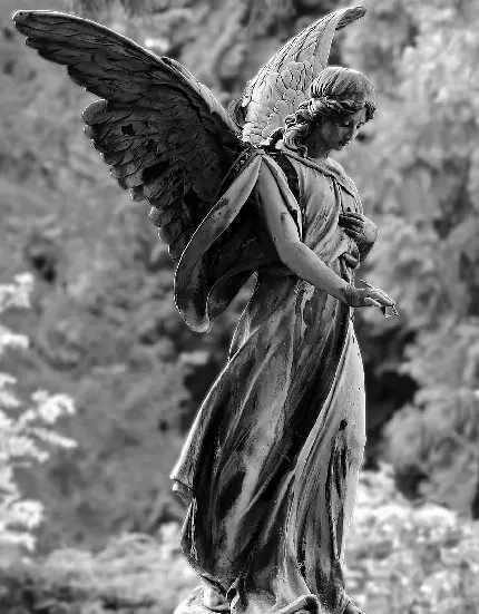 تصویر استوک مجسمه فرشته سنگی بالدار واقعی 