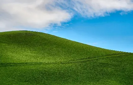 پس زمینه ساده و جدید تپه چمن به رنگ سبز پررنگ با کیفیت اچ دی