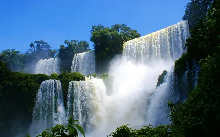 عکس حیرت انگیز آبشار مابین جنگل باطراوت برای بکگراند لپ تاپ