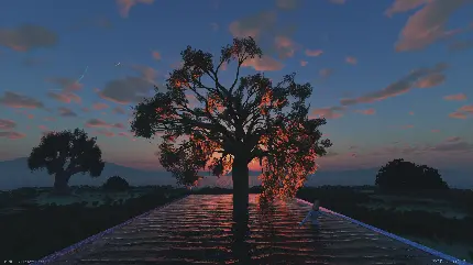 والپیپر درخت زندگی در آب کنار دختر شناور در آب در غروب 