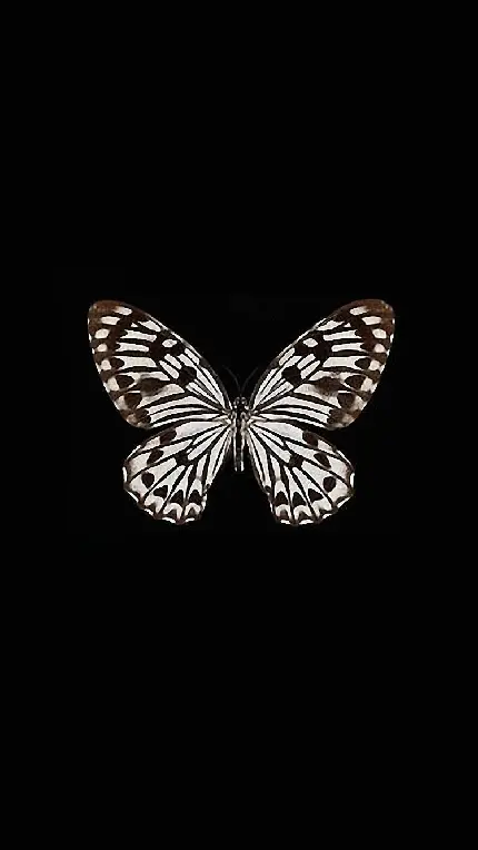 عکس دارک غمگین