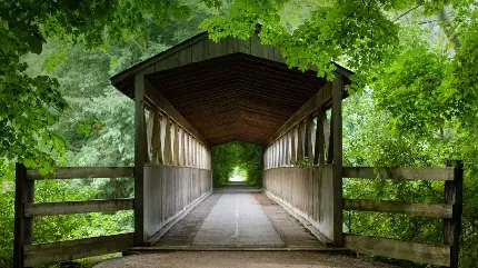 بارگیری تصویر گردشگری از پل سرپوشیده چوبی در طبیعت