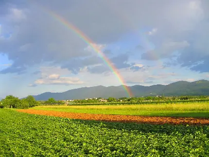 عکس و کاغذ دیواری زیبای کشتزار سرسبز در کنار رنگین کمان