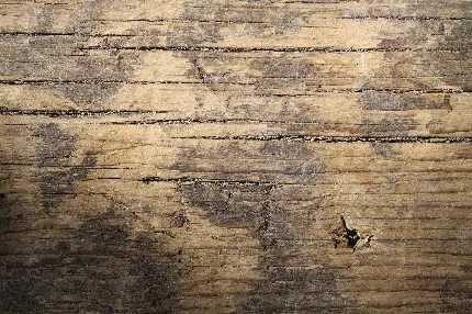 بک گراند بافت چوب قدیمی پوسیده برای کارهای هنری و کاردستی