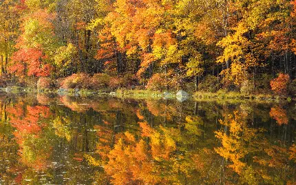 عکس غروب زیبا برای پروفایل