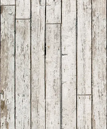 عکس دلنشین از تکسچر  چوب سفید با رگه های قهوه ای 