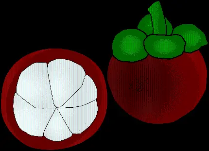 تصویر نقاشی کامپیوتری میوه ترگیل PNG با بکگراند مشکی 