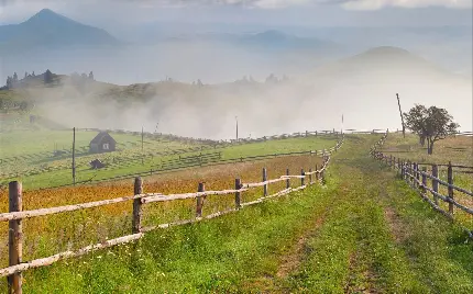 تصویر دخترانه جاده چمنی بین مزرعه و حفاظ های چوبی برای پروفایل واتساپ