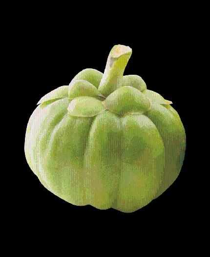 دانلود رایگان عکس واقعی میوه ترگیل PNG پی ان جی سبز رنگ 