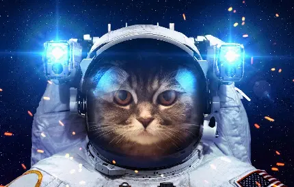 عکس استوک باشکوه فانتزی گربه فضانورد مناسب برای والپیپر ویندوز