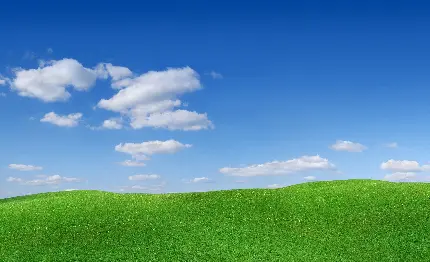 شیک ترین تصویر زمینه تپه چمن سبز خوشرنگ مخصوص لپ تاپ