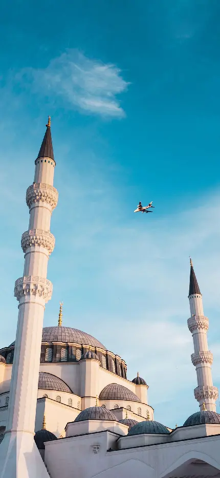 بکگراند شگفت آور و زیبا از مسجد با پرنده ی قشنگ بالای آن 