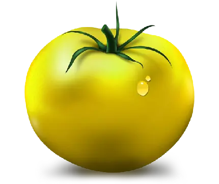 دانلود تصویر گوجه فرنگی زرد با فرمت png کارتونی با کیفیت عالی