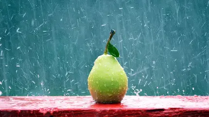 عکس استوک میوه گلابی با طراوت بسیار لذیذ و خوشمزه و آبدار