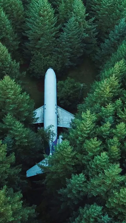 عکس هواپیما پنهان شده در جنگل برای زمینه گوشی جدید 2023