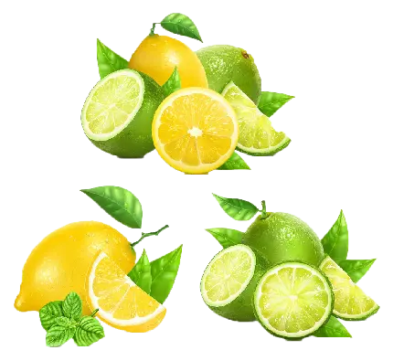 تصویر جذاب و قشنگ از لیمو های ترش و شیرین با کیفیت بالا 