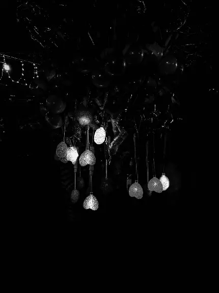 عکس چراغ های قلبی روشن آویزان از درخت کریسمس با کیفیت بالا