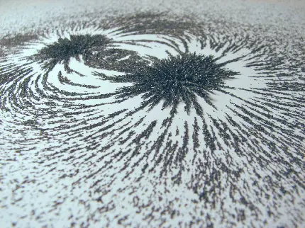 عکس استوک زیبای جهت گیری منظم براده آهن در میدان مغناطیسی