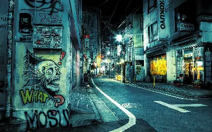 دانلود عکس عجیب ترین نقاشی های دیواری در نمای شب 