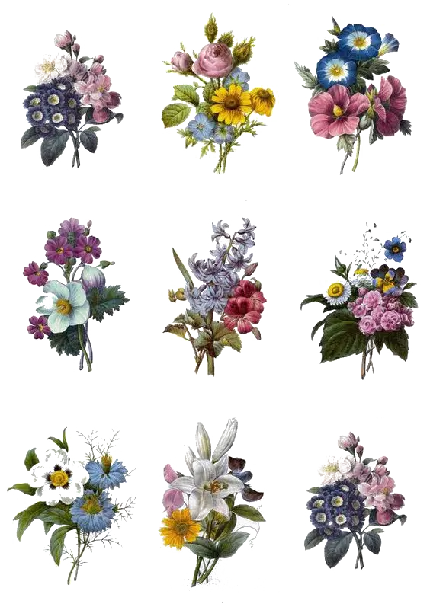 عکس PNG و بدون زمینه دسته گل های دیجیتالی برای سلیقه های مختلف