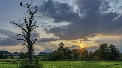 تصویر جالب و شگفت انگیز از طبیعت رویایی با کیفیت عالی 