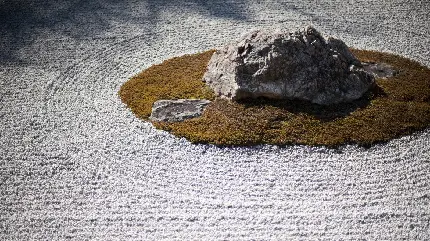 پروفایل جالب و دیدنی باغ ذن با استفاده از عناصر طبیعی سنگ خزه شن