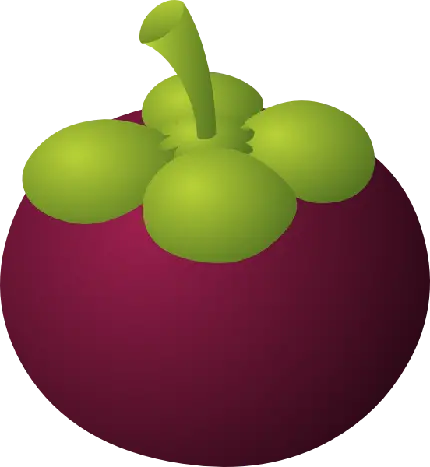 تصویر تکی میوه ترگیل PNG دوربریده شده باکیفیت انیمیشنی 