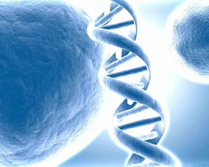 عکس پروفایل علمی پژوهشی دی ان ای DNA با بهترین کیفیت