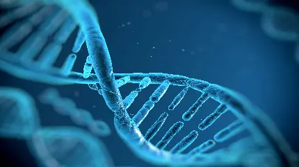 پس زمینه آبی سه بعدی دی ان ای DNA زنجیره ای از نوکلئوتیدها