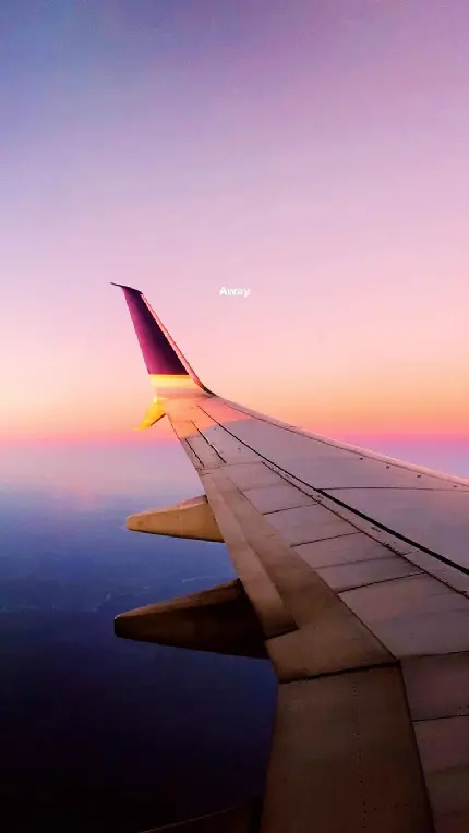 دانلود والپیپر بال هواپیما هنگام غروب صورتی رنگ آفتاب