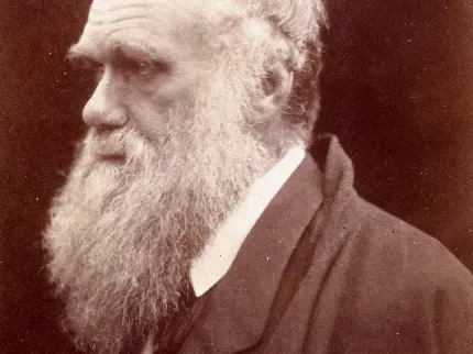 تصویر عالم زیست شناس و نظریه پرداز معروف انگلیسی به نام چارلز داروین