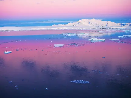 عکس پروفایل دریاچه در زمستان با انعکاس نور صورتی غروب