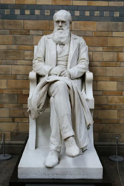 دانلود عکس مجسمه واقعی چارلز داروین Charles Darwin 