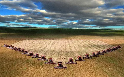 عکس استوک ماشین های کشاورزی در حال کار در زمین گندم و کشتزار