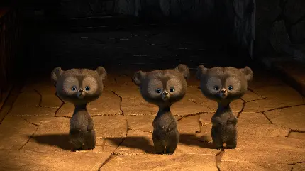 عکس پس زمینه کیوت از سه بچه خرس گوگولی کارتون شجاع