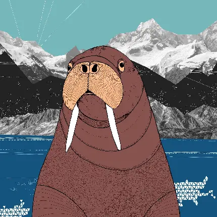 عکس گراز دریایی کارتونی برای پروفایل دوست داران حیات وحش