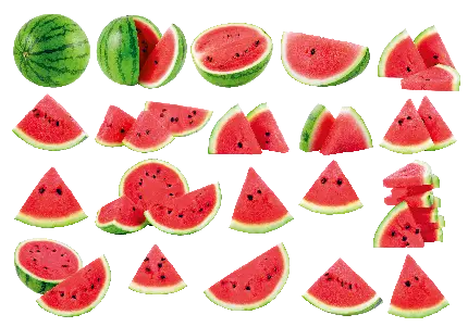 دانلود تصویر png قاچ هندوانه واقعی در اندازه های مختلف 