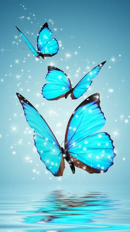 دانلود عکس پروانه های آبی بسیار زیبا با ادیت shiny رایگان