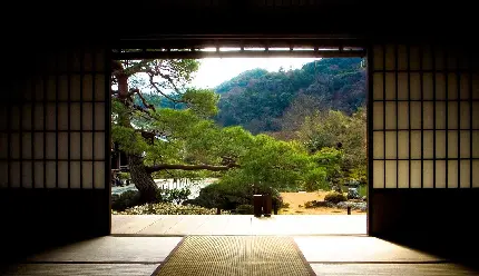 جدیدترین Background باغ سنگ ذن در کشور ژاپن مکانی زیبا و معنوی