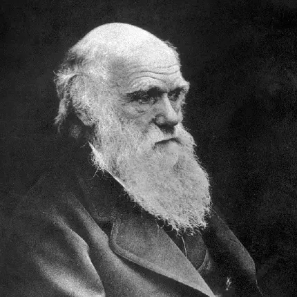 دانلود عکس های چارلز داروین Charles Darwin با کیفیت بالا