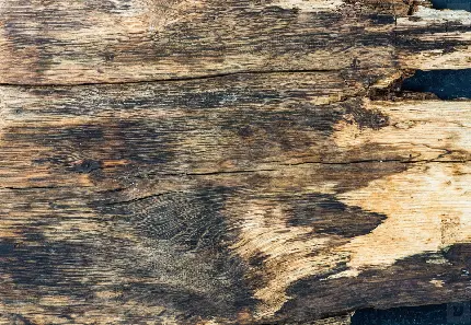 به روز ترین تکسچر چوب قدیمی پرطرفدار برای طراحی پوستر