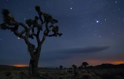 قشنگ ترین عکس شب تاریک پرستاره خفن کویر با کیفیت HD